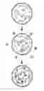 Fig. 02 - Nanoparticle Based Identification