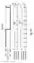 Fig. 60 - Spatial light modulator and display apparatus