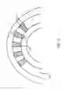 Fig. 07 - Tightly coiled amplifying optical fiber with reduced mode distortion