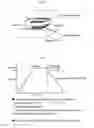 Fig. 03 - Process of producing activated carbon for electric double layer capacitor electrode