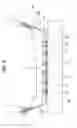 Fig. 07 - ELECTRONIC COMPONENT MOUNTING STRUCTURE AND ELECTRONIC COMPONENT MOUNTING METHOD