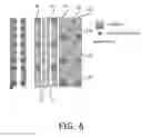 Fig. 05 - Modular electric system