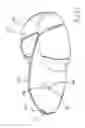 Fig. 16 - Lighted hat