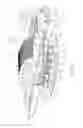 Fig. 02 - LED road lamp