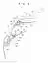 Fig. 06 - Lamp mounting structure and vehicle to which lamp is mounted with the use of the same
