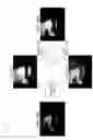 Fig. 33 - Illumination device and display device