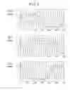 Fig. 08 - PWM rectifier