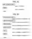 Fig. 05 - System and method of regulating a packet rate to optimize traffic in a network