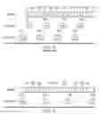 Fig. 03 - Rank Indicator Offset for Periodic CQI Reporting with Periodicity of One