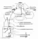 Fig. 01 - Methods and arrangements in a mobile telecommunications network