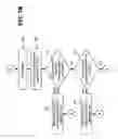 Fig. 08 - Hybrid communications link
