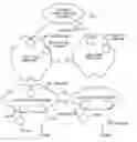 Fig. 01 - Communication control method, network node, and mobile terminal