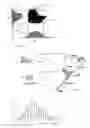 Fig. 08 - Image processing method