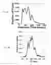 Fig. 04 - Method and system for characterizing cortical structures