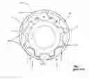 Fig. 02 - Gear pump with improved inlet port