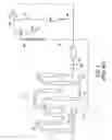 Fig. 02 - Pumping apparatus and process for polymerization in loop reactors