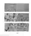 Fig. 02 - Calcium carbonate microtablets and method for the preparation thereof