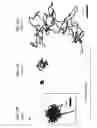 Fig. 10 - Compositions and methods for enhancing transport through mucus