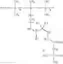 Fig. 05 - Cosmetic Compositions with Chitosan and Silicone Elastomers
