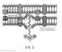 Fig. 04 - ANTI-INFECTIVE FUNCTIONALIZED SURFACES AND METHODS OF MAKING SAME