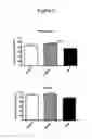 Fig. 06 - Methods of treating dementia using a GM-CSF antagonist