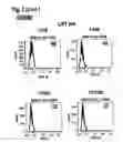 Fig. 05 - Interleukin-6 receptor binding polypeptides