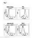 Fig. 13 - Interleukin-6 receptor binding polypeptides