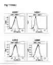 Fig. 14 - Interleukin-6 receptor binding polypeptides