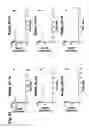 Fig. 57 - Interleukin-6 receptor binding polypeptides