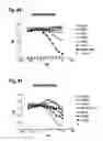 Fig. 59 - Interleukin-6 receptor binding polypeptides