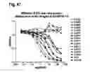 Fig. 61 - Interleukin-6 receptor binding polypeptides