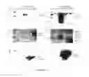 Fig. 02 - Methods and compositions for treating tularemia