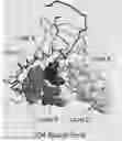 Fig. 01 - Deletion of the beta 20-21 loop in HIV gp120 exposes the CD4 binding site for improved antibody binding and antibody induction