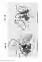 Fig. 02 - Deletion of the beta 20-21 loop in HIV gp120 exposes the CD4 binding site for improved antibody binding and antibody induction