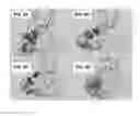 Fig. 10 - Deletion of the beta 20-21 loop in HIV gp120 exposes the CD4 binding site for improved antibody binding and antibody induction
