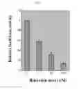 Fig. 07 - EFFICIENTLY REPLICABLE HEPTITIS C VIRUS MUTANT, A HEPTITIS C VIRUS MUTANT COMPRISING REPORTER GENE, A METHOD OF PREPARING OF HCV VACCINE USING THE SAME AND A METHOD OF SCREENING ANTI HCV COMPOSITION USING THE SAME