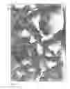Fig. 03 - CLADDING HAVING AN ARCHITECTURAL SURFACE APPEARANCE