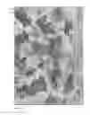 Fig. 05 - CLADDING HAVING AN ARCHITECTURAL SURFACE APPEARANCE