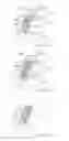 Fig. 07 - Refastenable absorbent article and a method of applying thereof