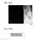 Fig. 08 - Hard-coated member, and its production method