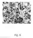 Fig. 07 - METHOD FOR MANUFACTURE AND COATING OF NANOSTRUCTURED COMPONENTS