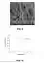 Fig. 09 - PRODUCTION AND USE OF LAMINATED NANOFIBROUS STRUCTURES