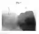 Fig. 03 - Maleimide based compound, composition for forming board, and board fabricated using the same