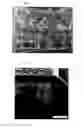Fig. 05 - Metal Covered Polyimide Composite, Process for Producing the Composite, and Apparatus for Producing the Composite