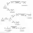 Fig. 01 - Nitrilases, nucleic acids encoding them and methods for making and using them