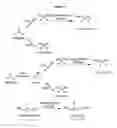 Fig. 02 - Nitrilases, nucleic acids encoding them and methods for making and using them