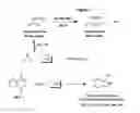 Fig. 03 - Nitrilases, nucleic acids encoding them and methods for making and using them