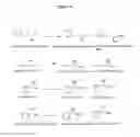 Fig. 37 - Nitrilases, nucleic acids encoding them and methods for making and using them