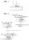 Fig. 02 - Organic material-immobiling structure and method for production of the same, and peptide and DNA therefor