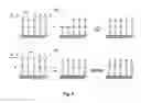 Fig. 04 - Methods of enzymatic discrimination enhancement and surface-bound double-stranded DNA